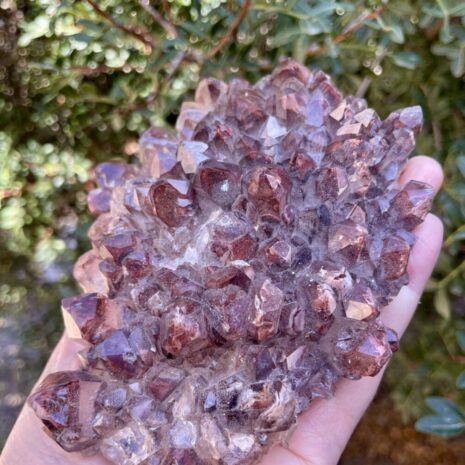 Red Phantom Quartz