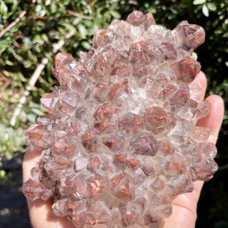 Red Phantom Quartz