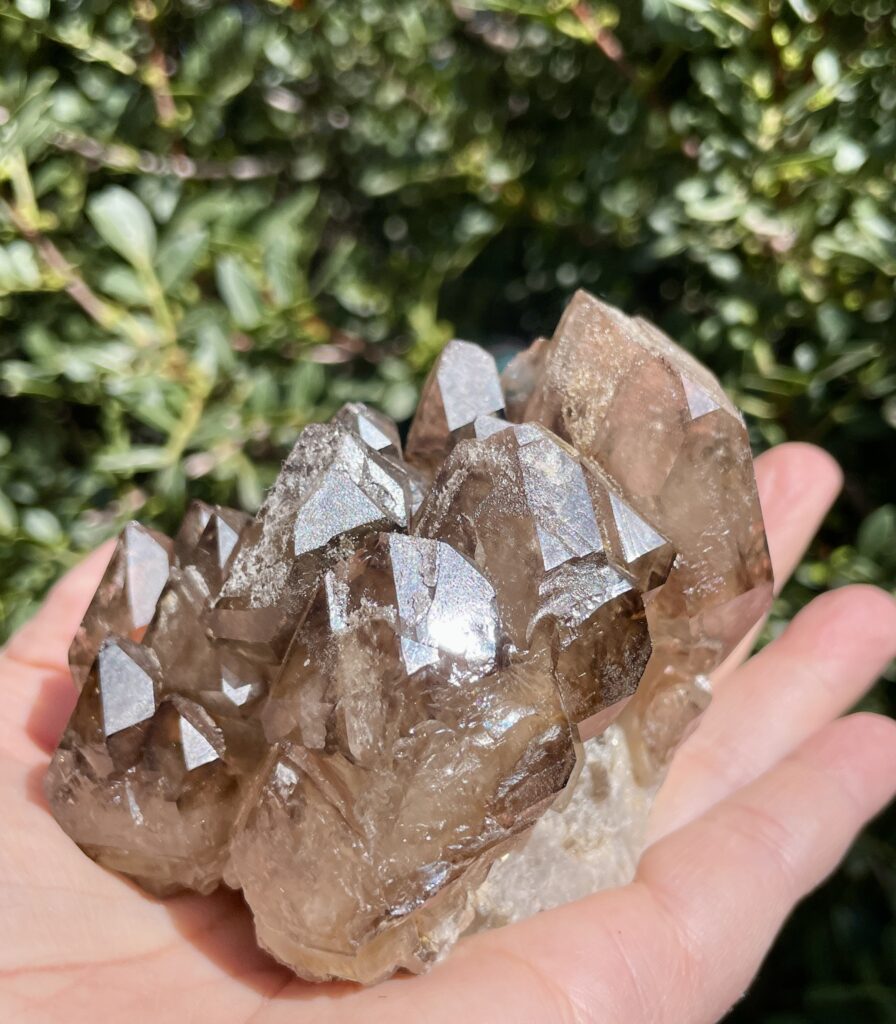 Smoky Elestial Cluster