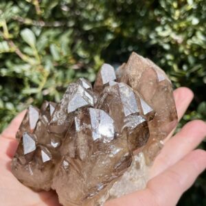 Smoky Elestial Cluster