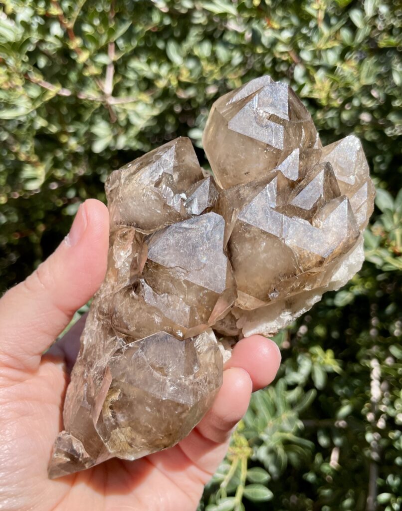 Enhydro Smoky Elestial