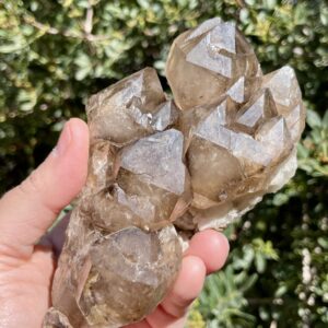 Enhydro Smoky Elestial