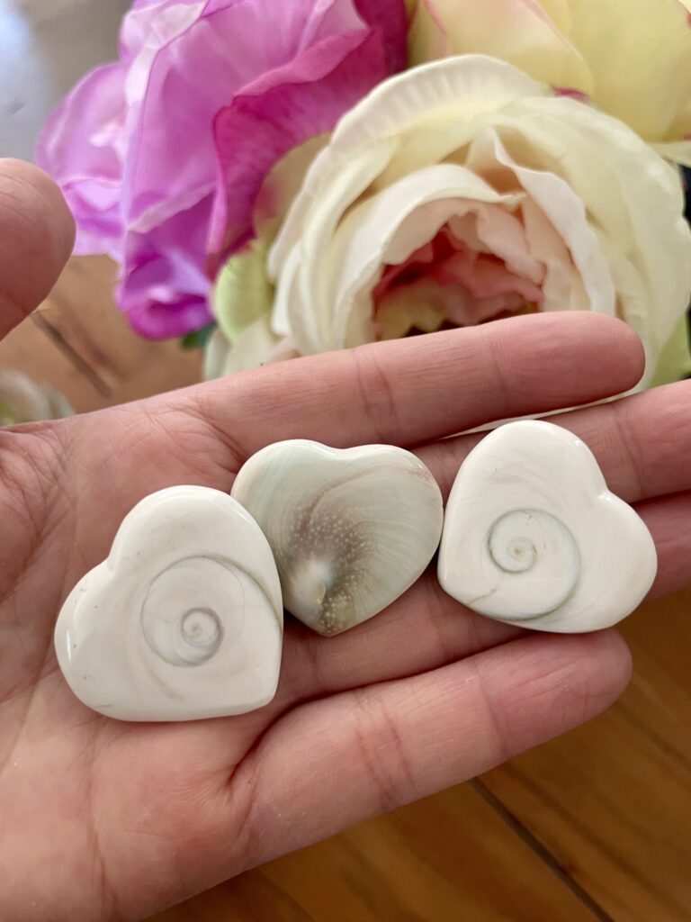 Shiva Heart Shell