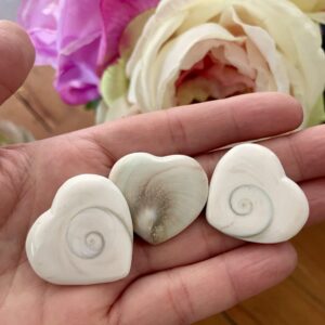 Shiva Heart Shell