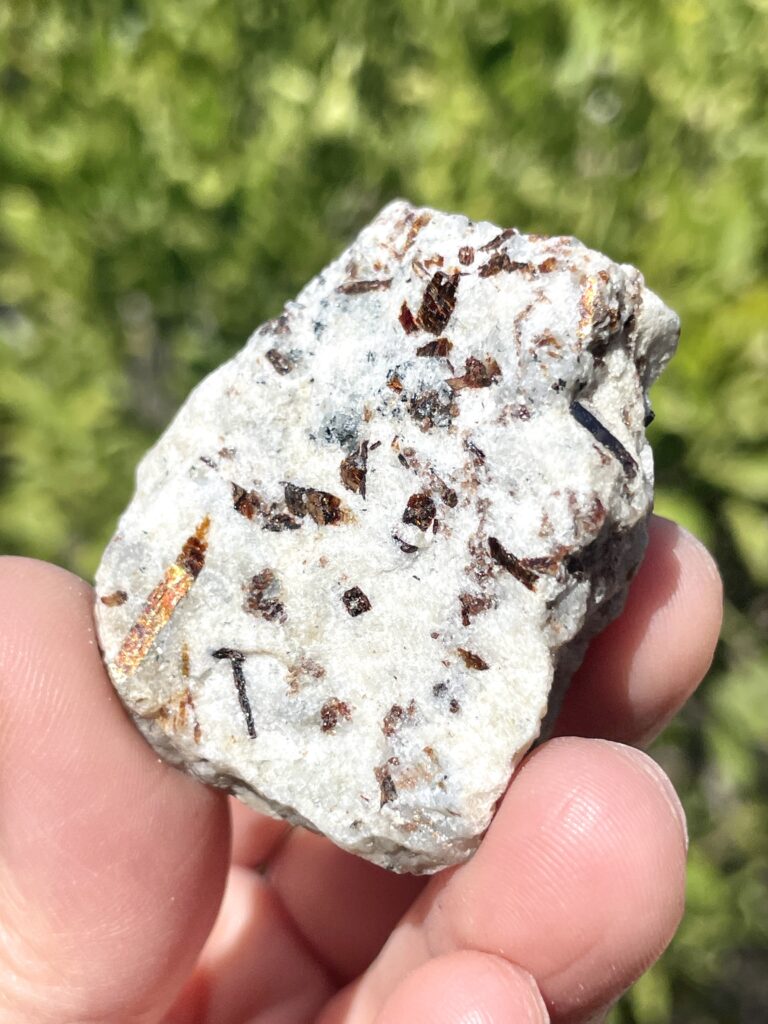 Astrophyllite Raw Cluster