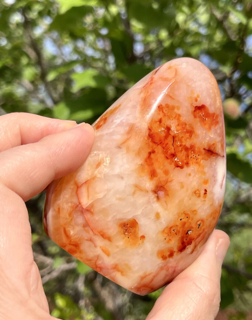 Carnelian Freeform (Bloop)