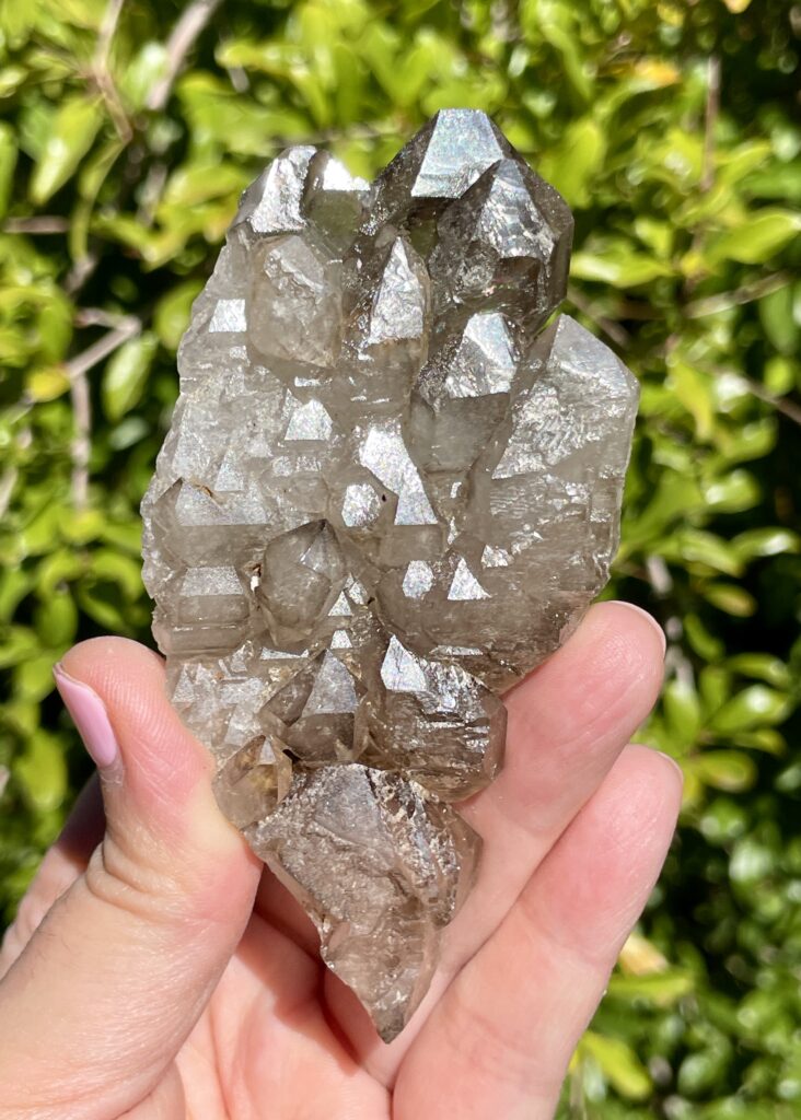 Smoky Elestial Cluster