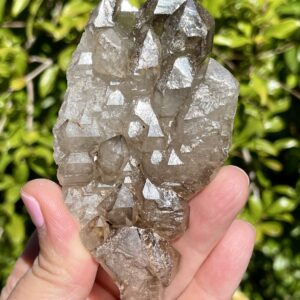 Smoky Elestial Cluster