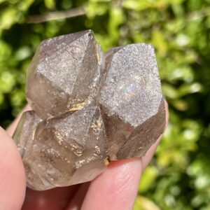 Smoky Quartz Cluster DT
