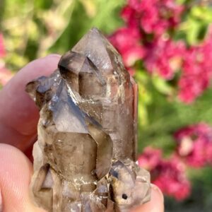 Smoky Quartz Cluster