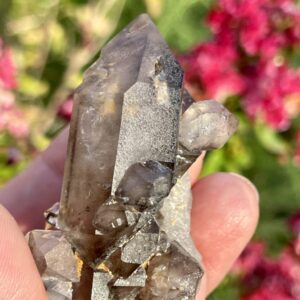 Smoky Quartz Cluster DT