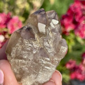 Smoky Quartz Cluster