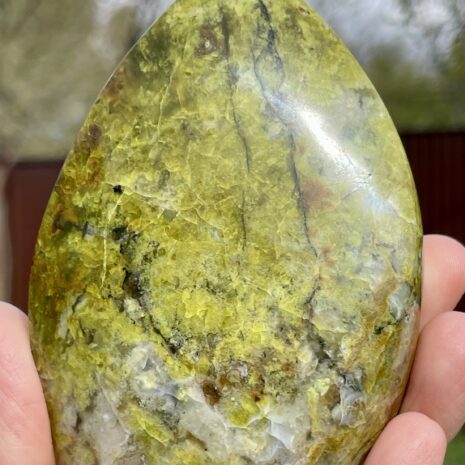 img_8327-2 img_8327-2