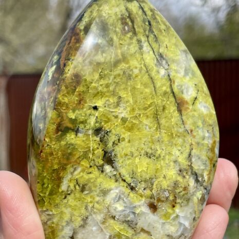 img_8328-2 img_8328-2