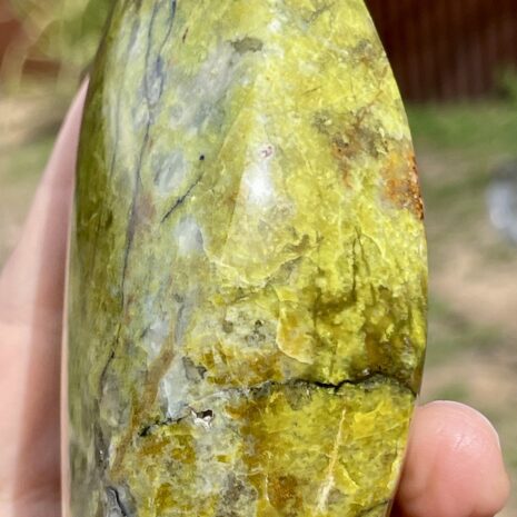 img_8330-2 img_8330-2