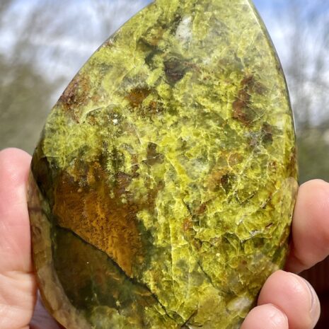 img_8331-2 img_8331-2