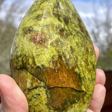 img_8332-2 img_8332-2