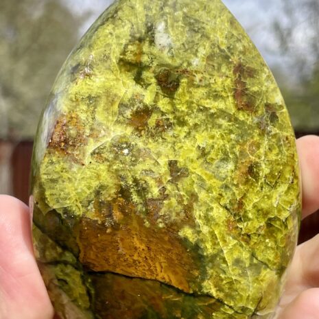 img_8333-2 img_8333-2