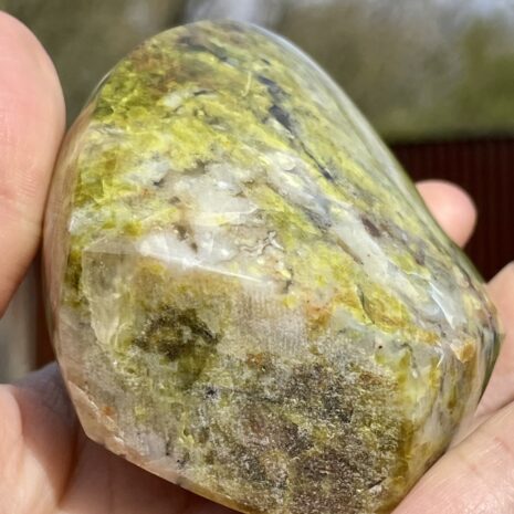 img_8334-2 img_8334-2