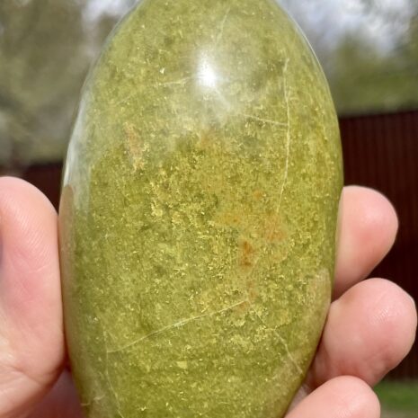 img_8338-2 img_8338-2