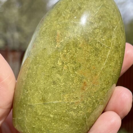 img_8345-2 img_8345-2