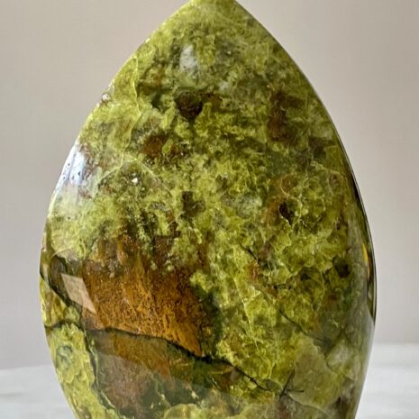 img_8353-2 img_8353-2