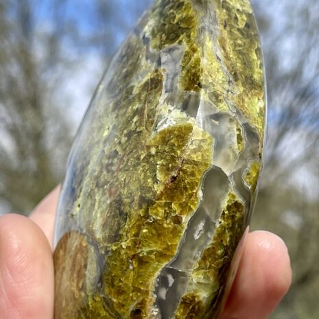 img_8358-2 img_8358-2