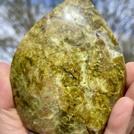 img_8361-2 img_8361-2