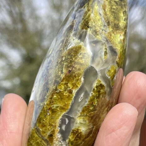 img_8362-3 img_8362-3