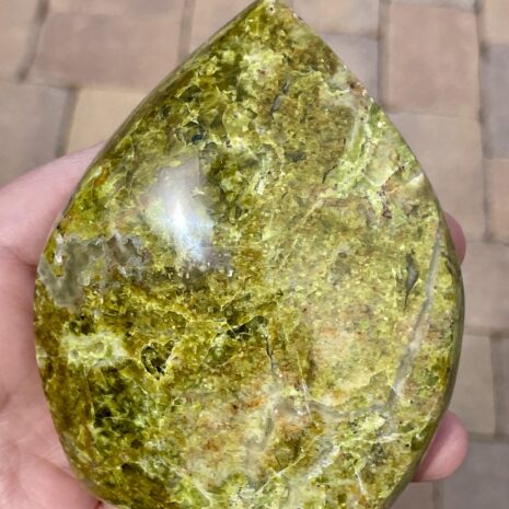 img_8367-2 img_8367-2