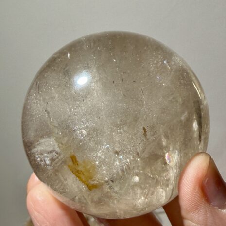 img_0445-2 img_0445-2