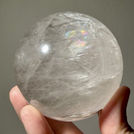 img_0494-2 img_0494-2