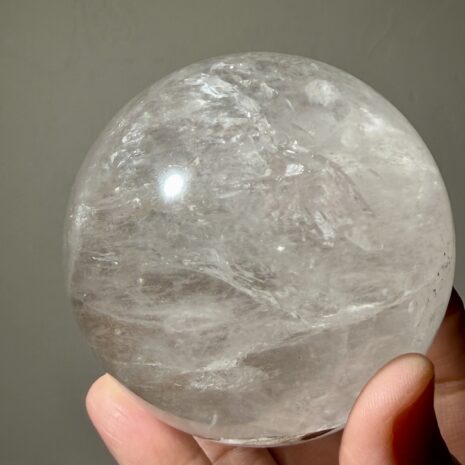 img_0495-2 img_0495-2