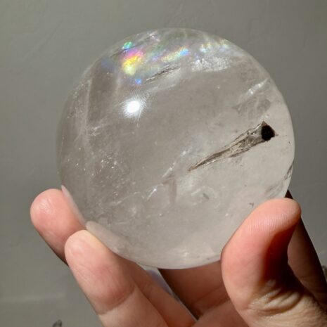 img_0505-2 img_0505-2