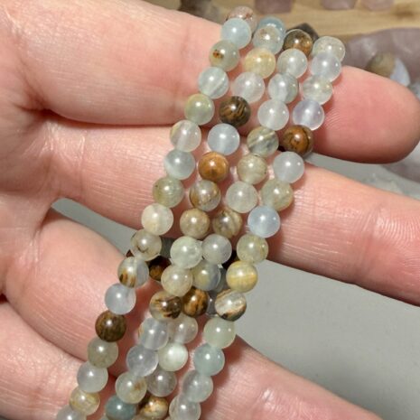 img_5064 img_5064